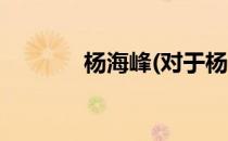杨海峰(对于杨海峰简单介绍)