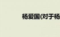 杨爱国(对于杨爱国简单介绍)