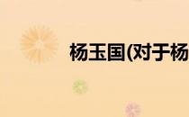 杨玉国(对于杨玉国简单介绍)