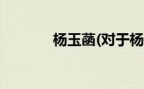 杨玉菡(对于杨玉菡简单介绍)