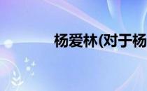 杨爱林(对于杨爱林简单介绍)