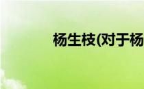 杨生枝(对于杨生枝简单介绍)