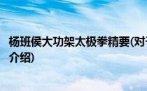 杨班侯大功架太极拳精要(对于杨班侯大功架太极拳精要简单介绍)