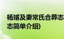 杨璿及妻常氏合葬志(对于杨璿及妻常氏合葬志简单介绍)