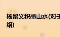 杨留义积墨山水(对于杨留义积墨山水简单介绍)