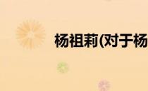 杨祖莉(对于杨祖莉简单介绍)