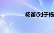 杨笛(对于杨笛简单介绍)