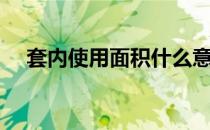 套内使用面积什么意思（套内使用面积）