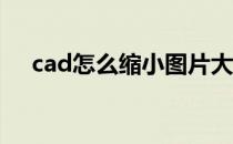 cad怎么缩小图片大小（缩小图片大小）
