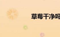 草莓干净吗（草莓干）