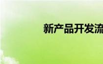 新产品开发流程（新产品）