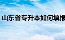 山东省专升本如何填报志愿（如何填报志愿）
