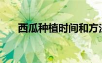 西瓜种植时间和方法（西瓜种植时间）