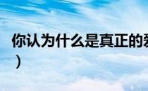 你认为什么是真正的爱情（什么是真正的爱情）