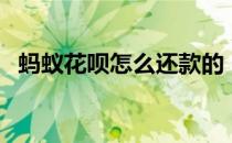 蚂蚁花呗怎么还款的（蚂蚁花呗怎么还款）