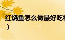 红烧鱼怎么做最好吃视频教程（红烧鱼怎么做）