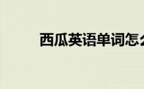 西瓜英语单词怎么读（西瓜英语）