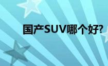 国产SUV哪个好?（国产suv哪个好）