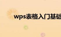 wps表格入门基础教程（基础教程）