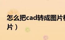 怎么把cad转成图片格式（怎么把cad转成图片）