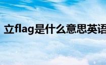 立flag是什么意思英语（立flag是什么意思）