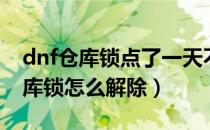 dnf仓库锁点了一天不显示怎么设置（dnf仓库锁怎么解除）