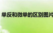 单反和微单的区别图片（单反和微单的区别）
