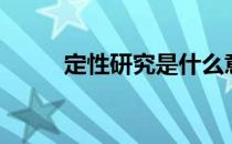 定性研究是什么意思（定性研究）