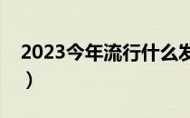 2023今年流行什么发色（今年流行什么发色）