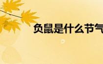 负鼠是什么节气（负鼠是什么）
