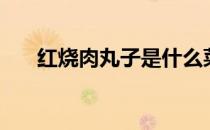红烧肉丸子是什么菜系（红烧肉丸子）