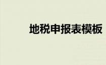 地税申报表模板（地税申报流程）