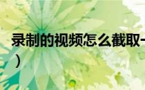 录制的视频怎么截取一段（视频怎么截取一段）