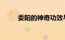 委阳的神奇功效与作用（委阳穴）