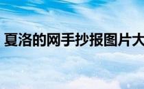 夏洛的网手抄报图片大全（夏洛的网手抄报）