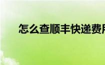 怎么查顺丰快递费用（顺丰快递费用）