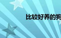比较好养的狗（好养的狗）