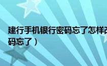 建行手机银行密码忘了怎样改密码怎么办（建行手机银行密码忘了）