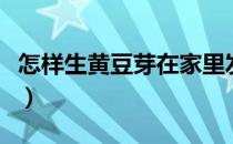 怎样生黄豆芽在家里发芽（怎样生黄豆芽在家）