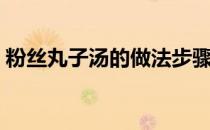 粉丝丸子汤的做法步骤（粉丝丸子汤的做法）