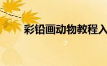 彩铅画动物教程入门（彩铅画动物）