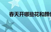 春天开哪些花和颜色（春天开哪些花）