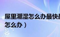 屋里潮湿怎么办最快最有效的方法（屋子潮湿怎么办）