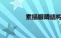 素描眼睛结构（素描眼睛）