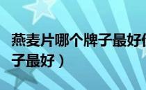 燕麦片哪个牌子最好价格多少（燕麦片哪个牌子最好）