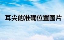 耳尖的准确位置图片（耳尖的准确位置图）