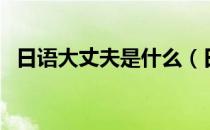 日语大丈夫是什么（日语大丈夫什么意思）