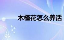 木槿花怎么养活（木槿花怎么养）