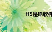 H5是啥软件（h5是啥）