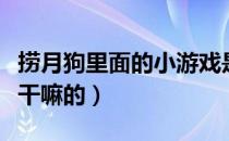 捞月狗里面的小游戏是什么小游戏（捞月狗是干嘛的）